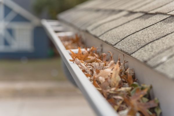 Leaf Barrier Installation in Asheboro